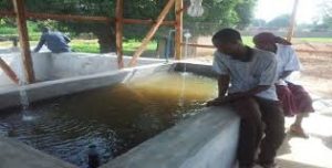 concrete pond for catfish farming in nigeria