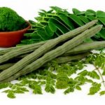 sample moringa farming business plan in nigeria
