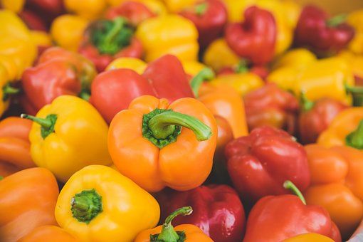 pepper farming business plan in nigeria