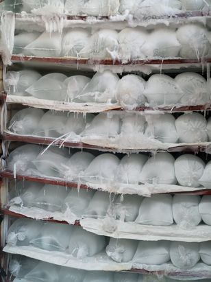 Ice Block Production Business Plan in Nigeria - Business Plan
