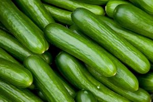 updated cucumber farming business plan in nigeria